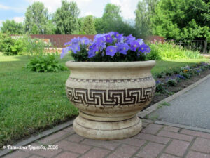 I fiori